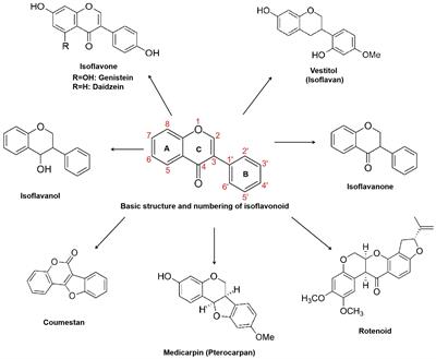 Biosynthesis and metabolic engineering of isoflavonoids in model plants and crops: a review